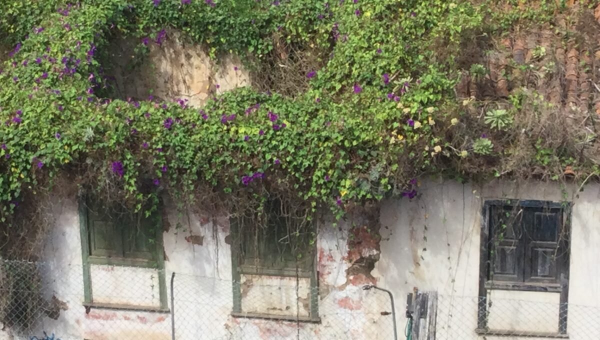 PROP 1 (FACH ENFOQUE PL ALTA)