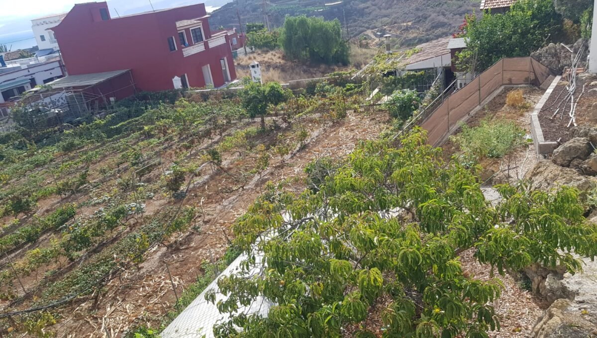 WhatsApp Image 2025-08-26 at 13.39.47 (1)