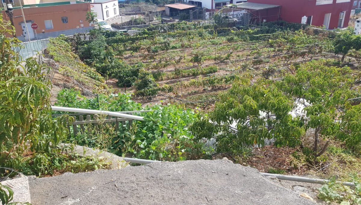 WhatsApp Image 2025-08-26 at 13.39.47