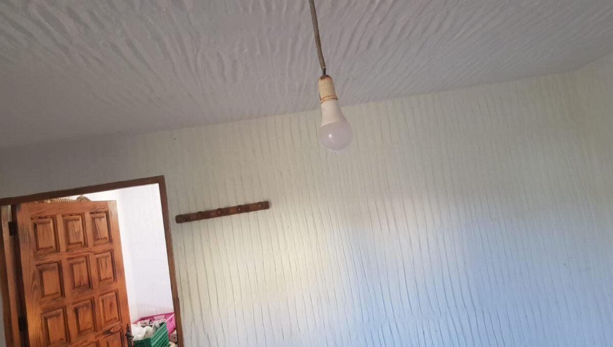 WhatsApp Image 2025-08-26 at 13.39.49