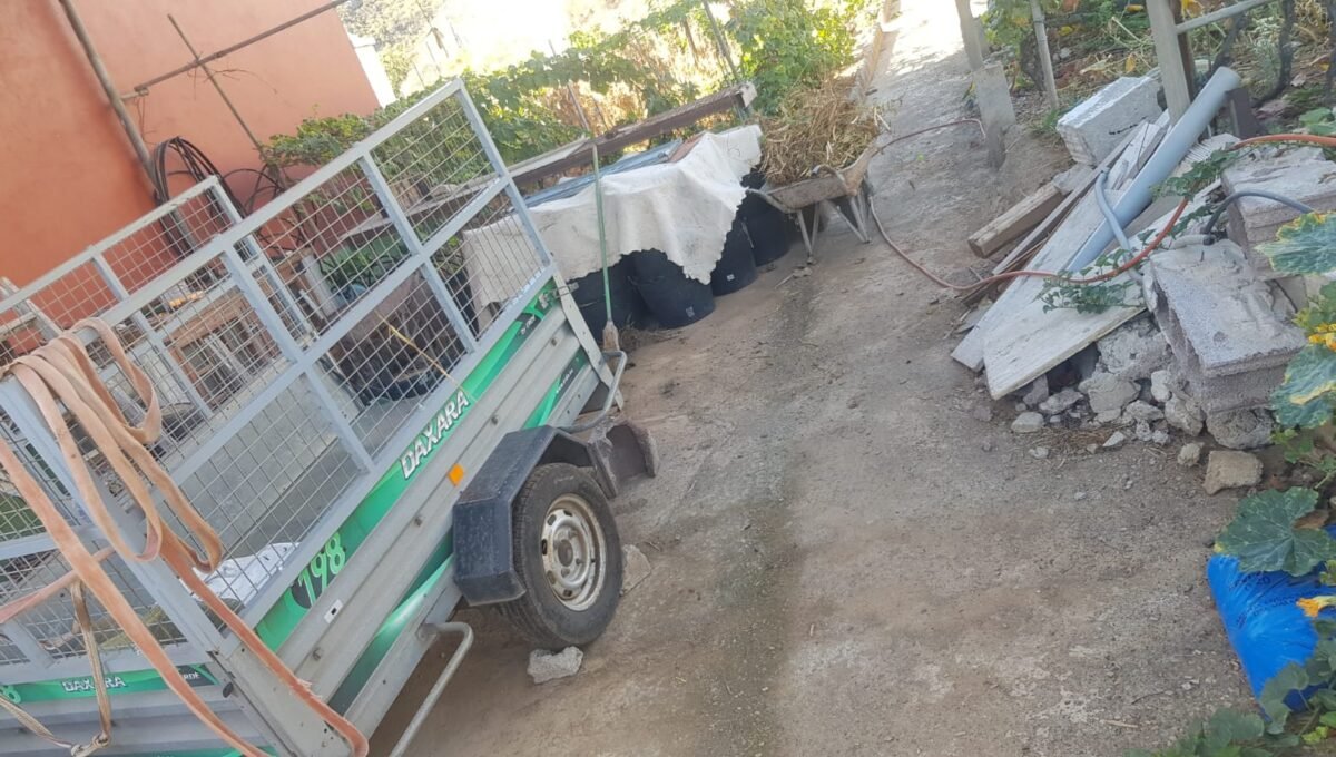 WhatsApp Image 2025-08-26 at 13.39.50 (3)