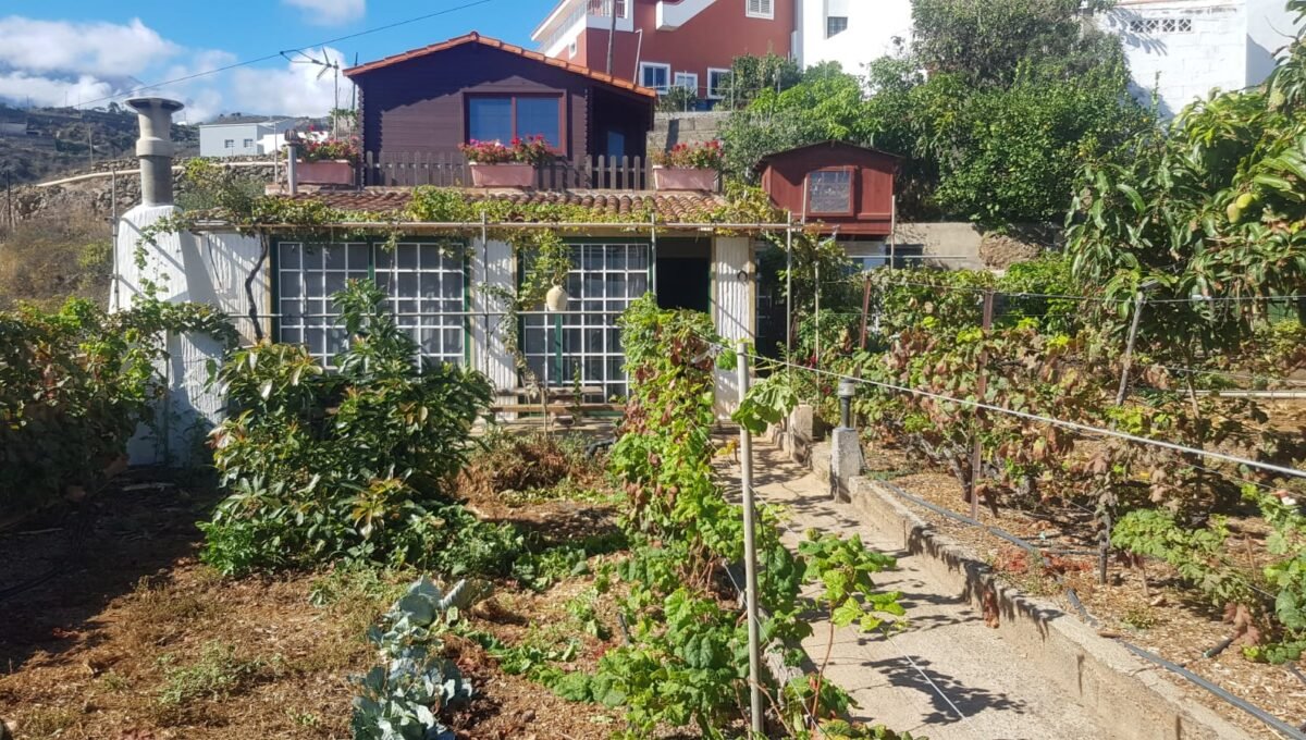 WhatsApp Image 2025-08-26 at 13.39.50 (4)