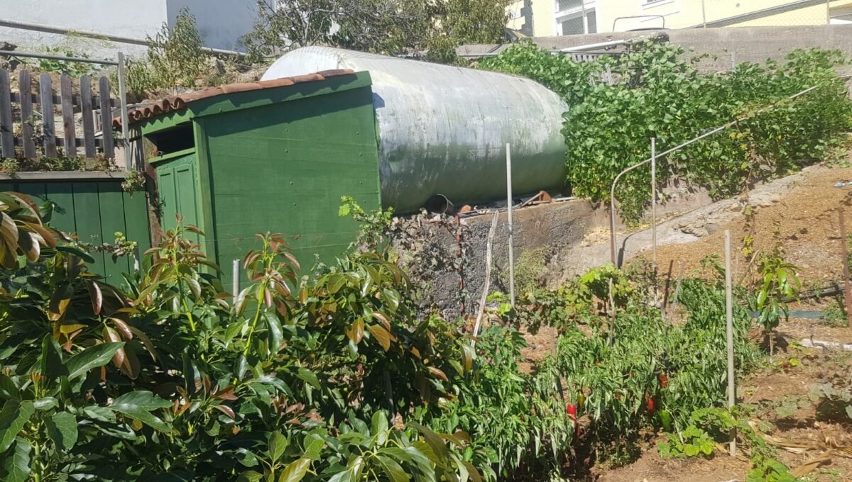 WhatsApp Image 2025-08-26 at 13.39.51 (3)