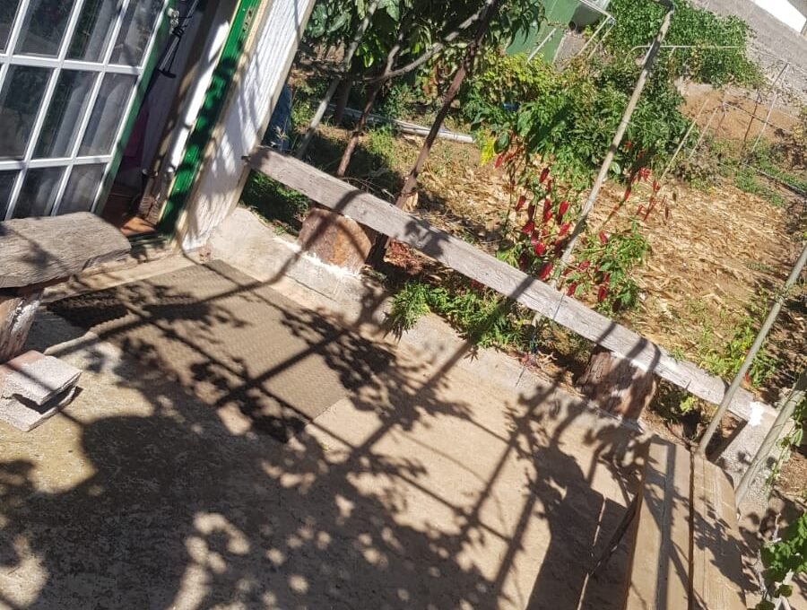 WhatsApp Image 2025-08-26 at 13.39.51