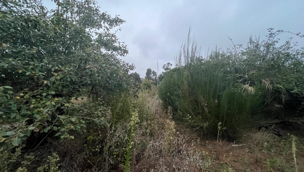 WhatsApp Image 2025-10-30 at 19.26.17 (1)