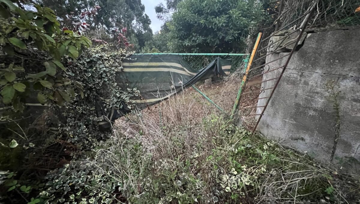 WhatsApp Image 2025-10-30 at 19.26.17 (10)