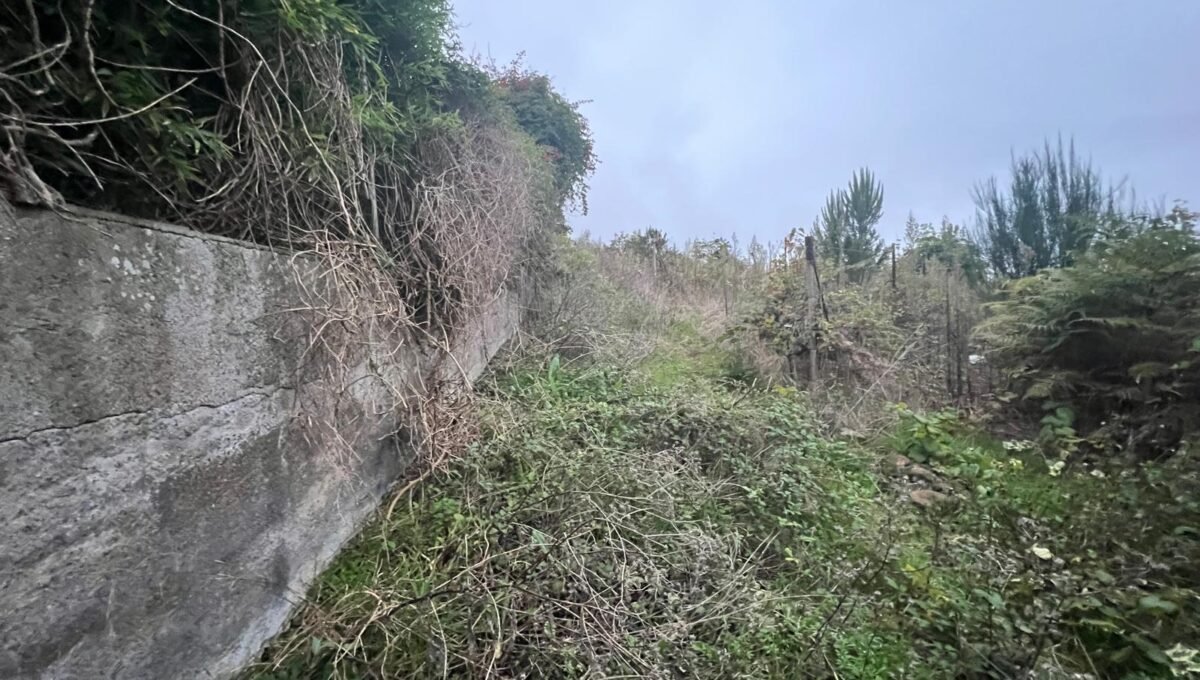 WhatsApp Image 2025-10-30 at 19.26.17 (11)