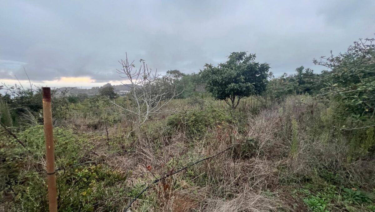 WhatsApp Image 2025-10-30 at 19.26.17