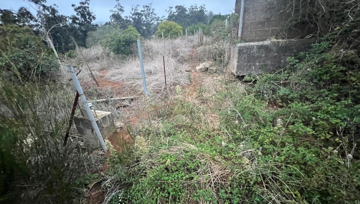 WhatsApp Image 2025-10-30 at 19.26.17 (2)