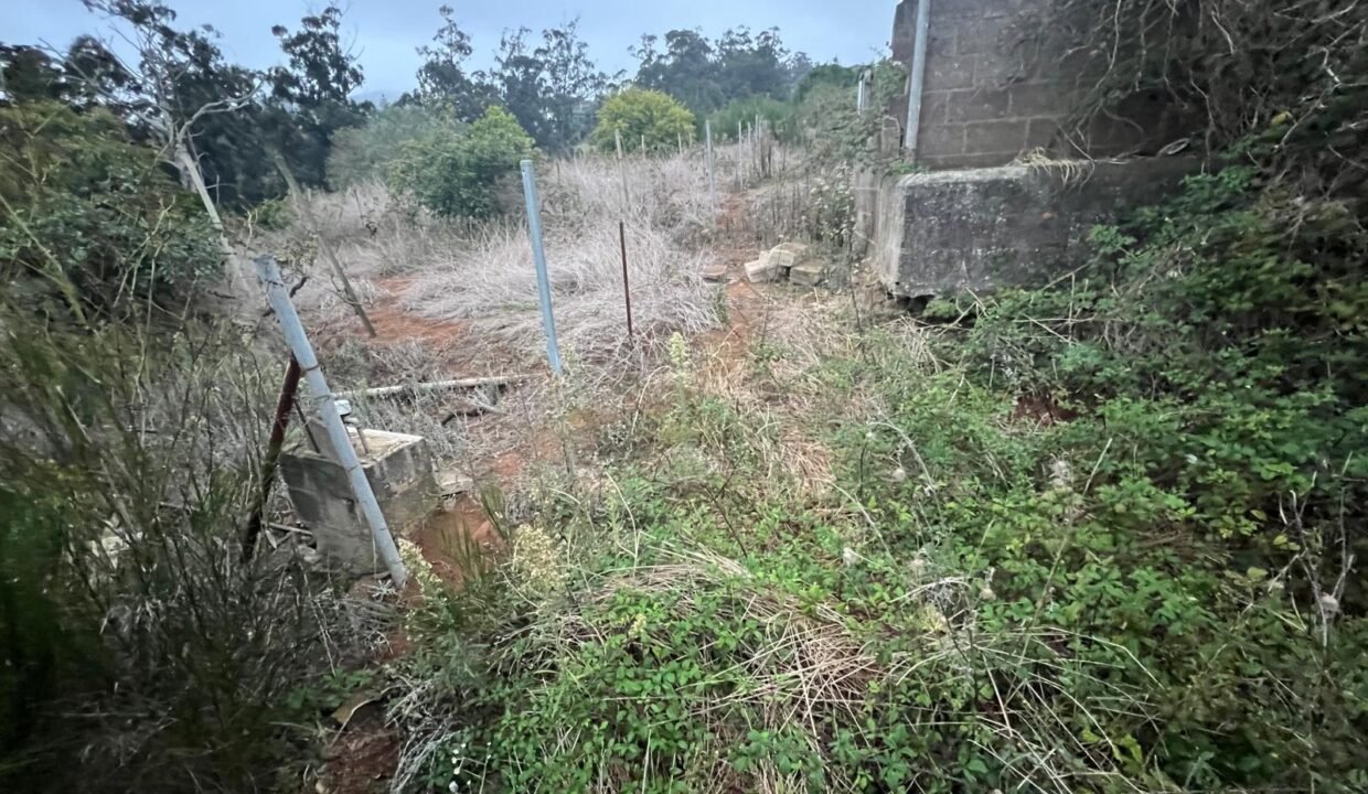 WhatsApp Image 2025-10-30 at 19.26.17 (2)