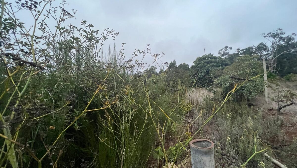 WhatsApp Image 2025-10-30 at 19.26.17 (3)