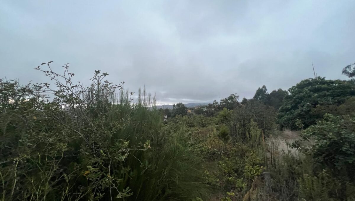 WhatsApp Image 2025-10-30 at 19.26.17 (4)