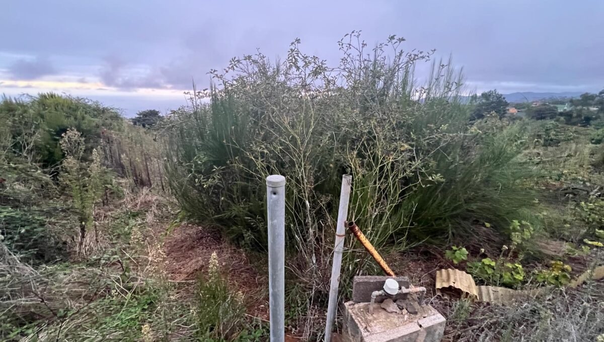 WhatsApp Image 2025-10-30 at 19.26.17 (5)