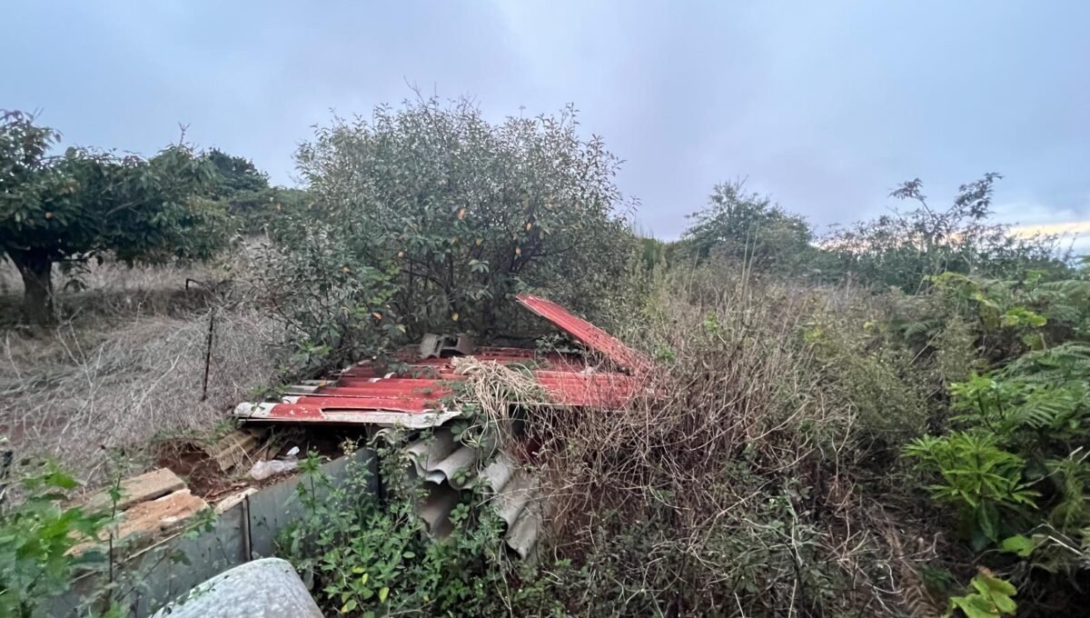 WhatsApp Image 2025-10-30 at 19.26.17 (6)