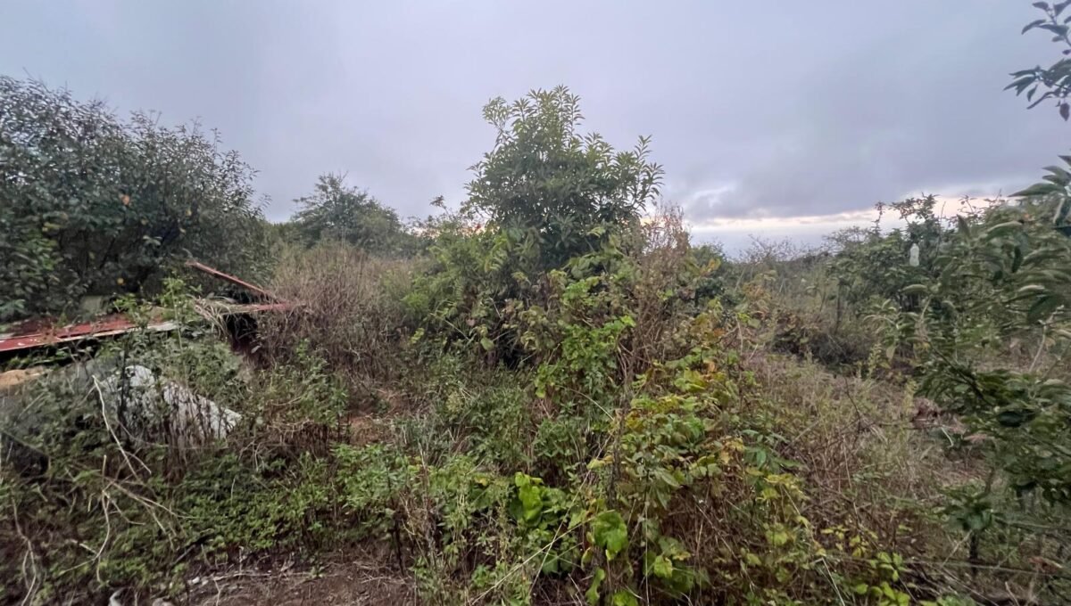 WhatsApp Image 2025-10-30 at 19.26.17 (7)