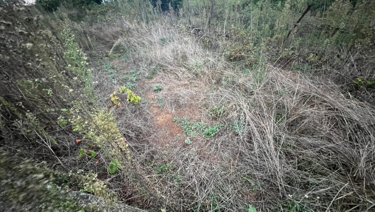 WhatsApp Image 2025-10-30 at 19.26.17 (8)