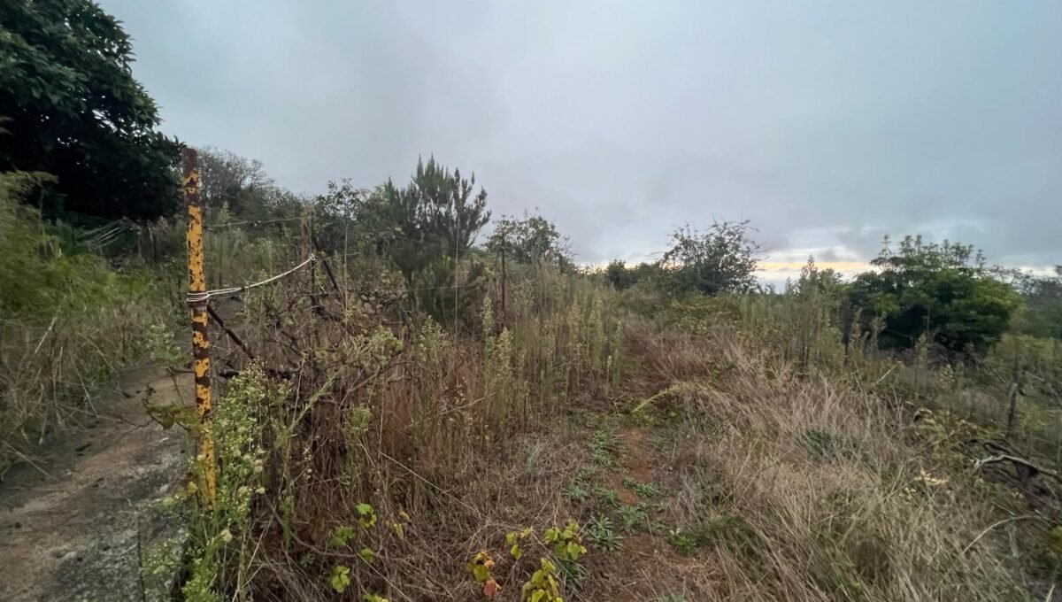 WhatsApp Image 2025-10-30 at 19.26.17 (9)