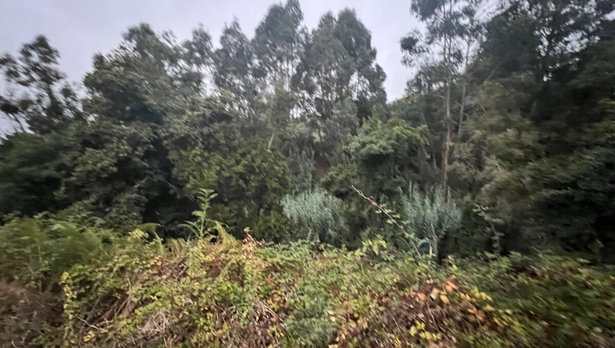 WhatsApp Image 2025-10-30 at 19.26.18 (1)