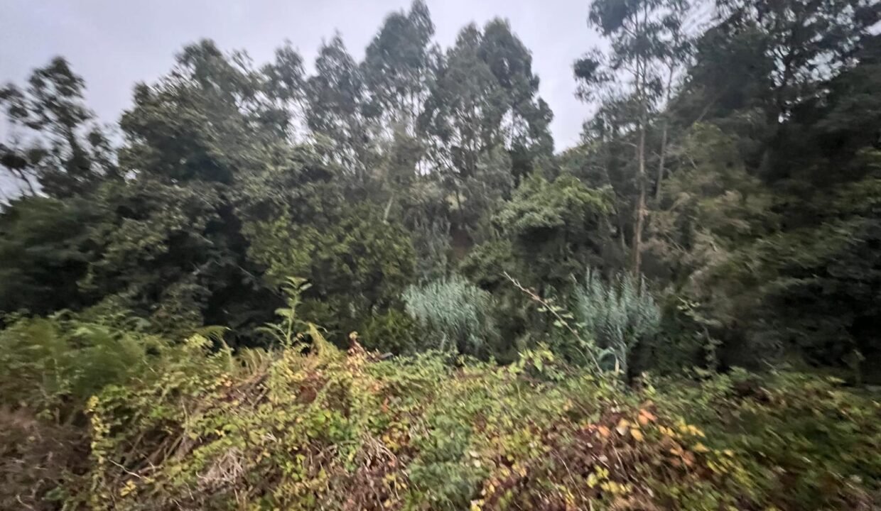 WhatsApp Image 2025-10-30 at 19.26.18 (1)