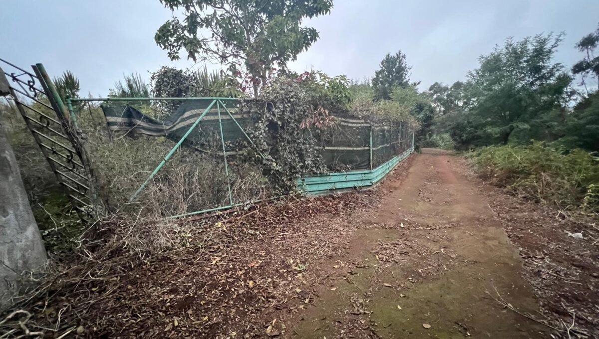 WhatsApp Image 2025-10-30 at 19.26.18