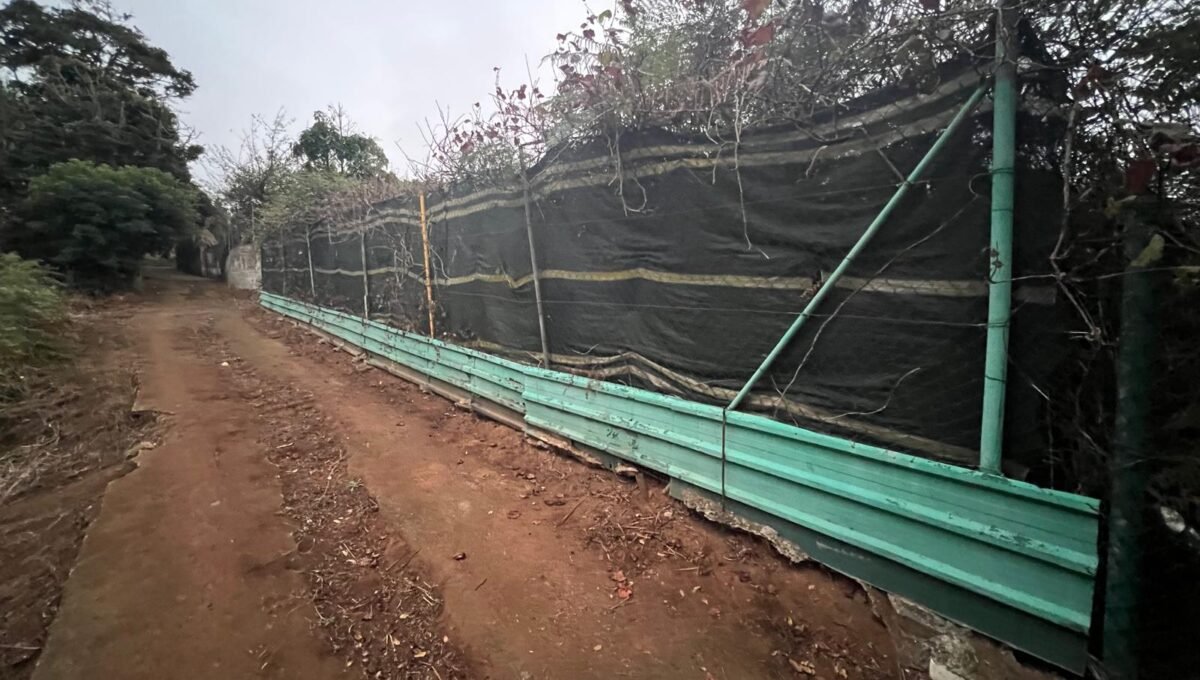 WhatsApp Image 2025-10-30 at 19.26.18 (2)