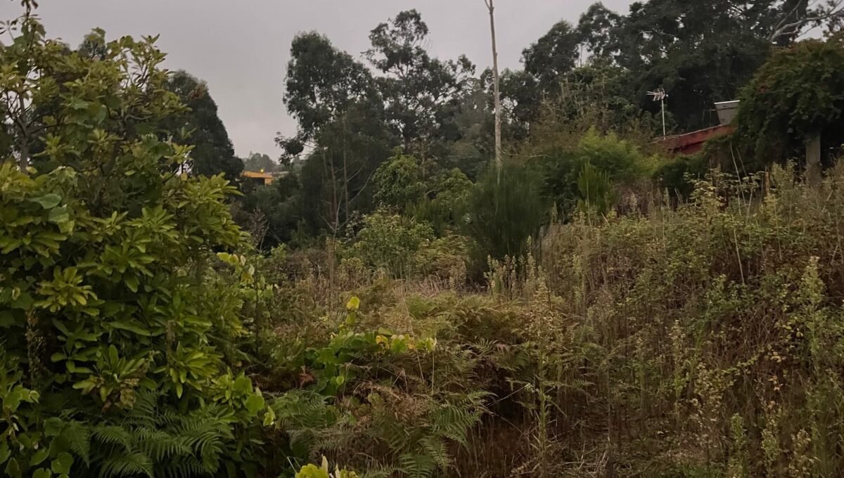 WhatsApp Image 2025-10-30 at 19.26.18 (3)