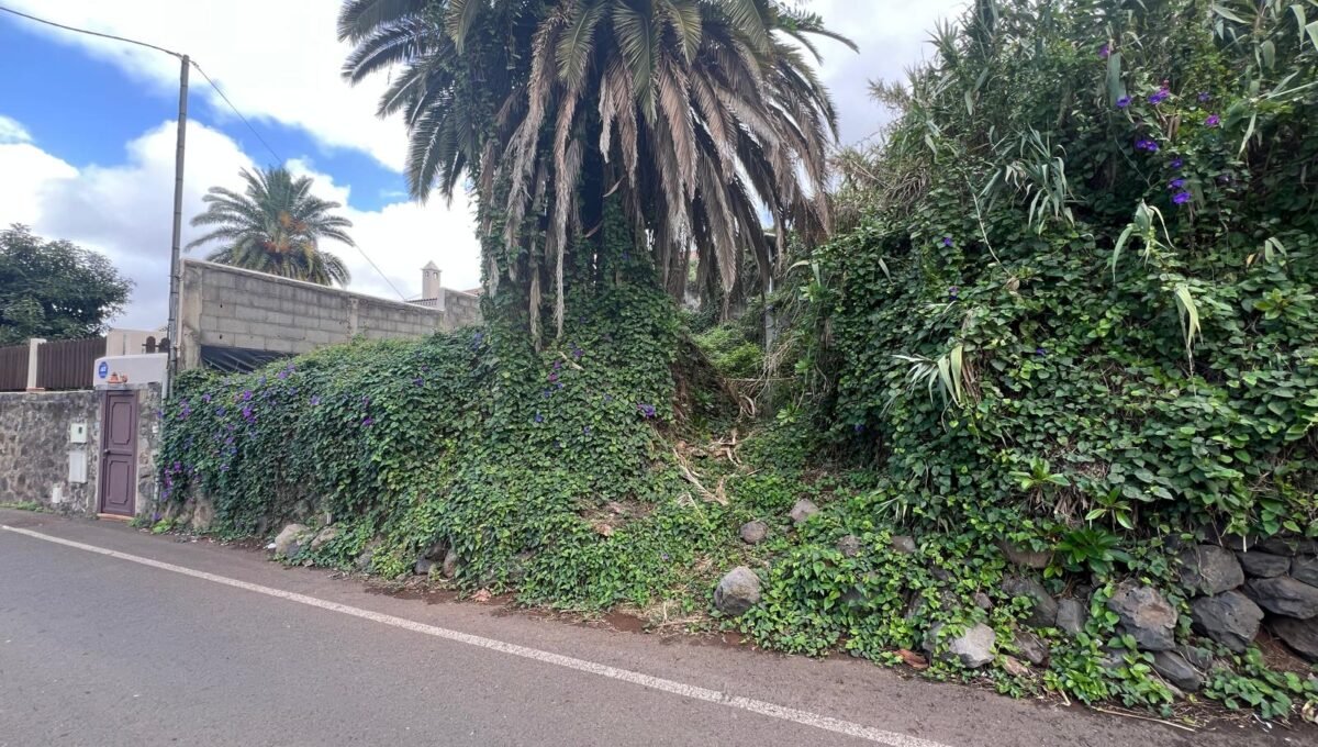 WhatsApp Image 2025-11-28 at 13.15.22