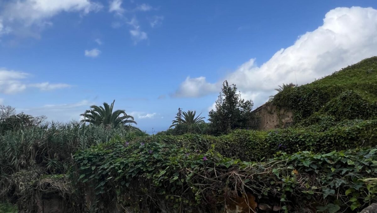 WhatsApp Image 2025-11-28 at 13.15.22 (7)