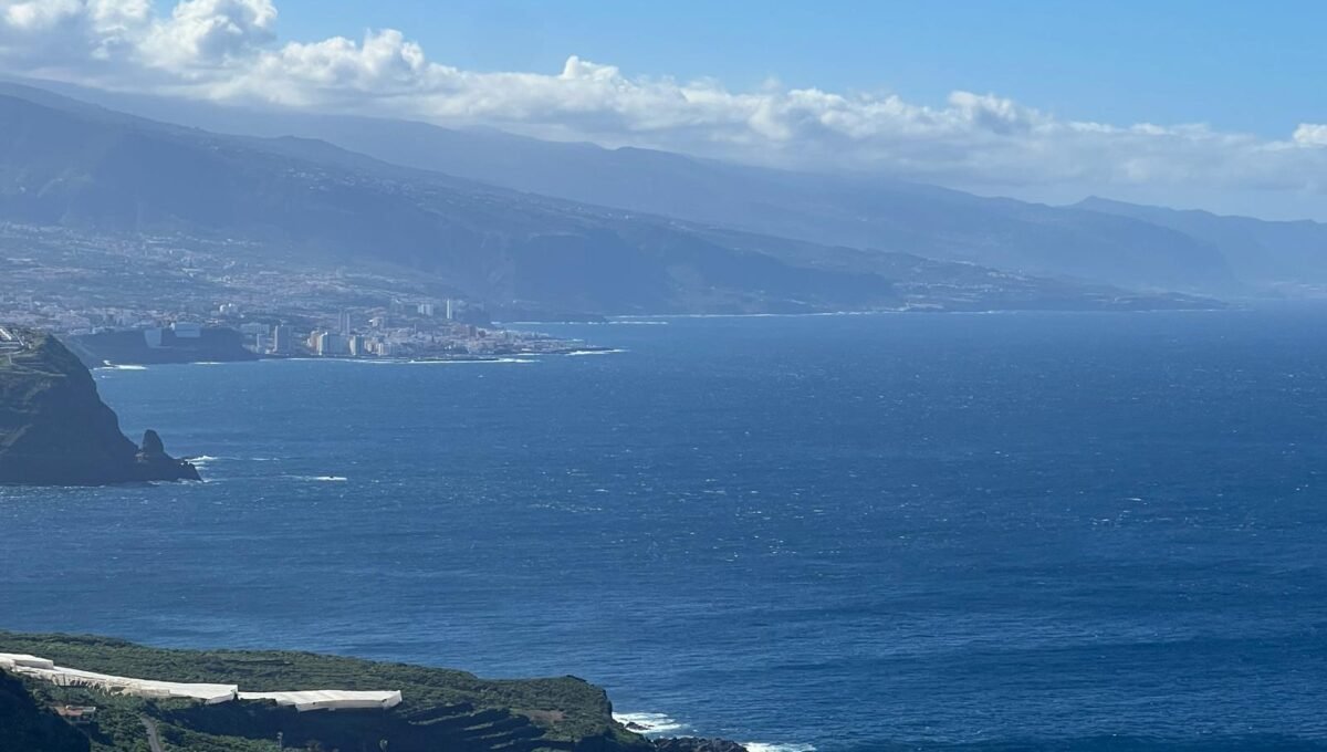 WhatsApp Image 2026-01-08 at 14.33.52 (24)