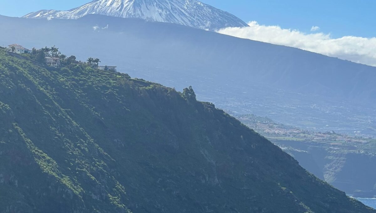 WhatsApp Image 2026-01-08 at 14.33.52 (25)